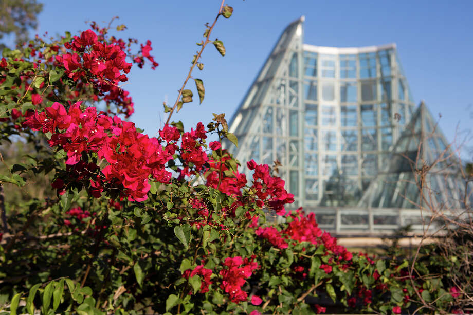 Cityscape Lucile Halsell Conservatory At San Antonio Botanical