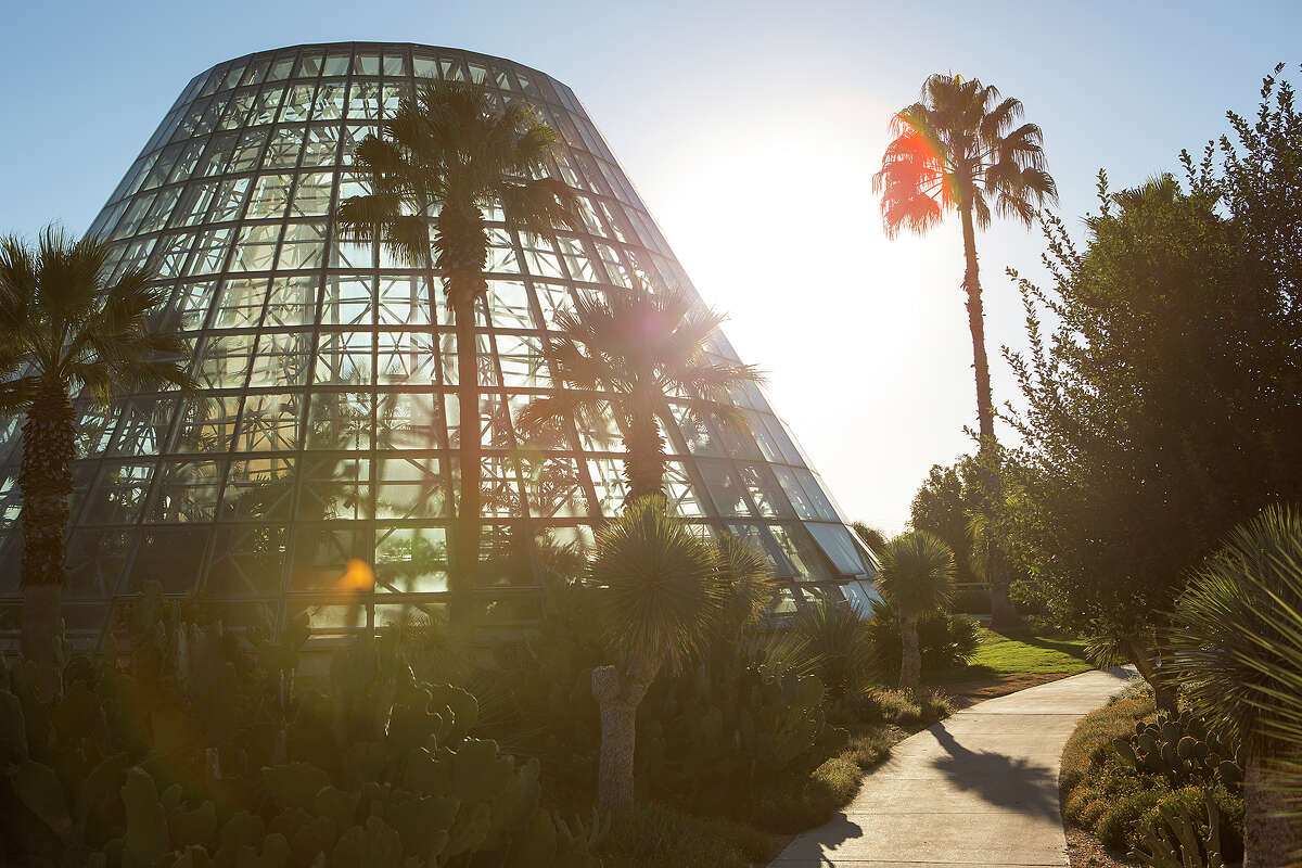 The Lucile Halsell Conservatory at the San Antonio Botanical Garden is futuristic-looking as it reaches 65 feet into the sky.