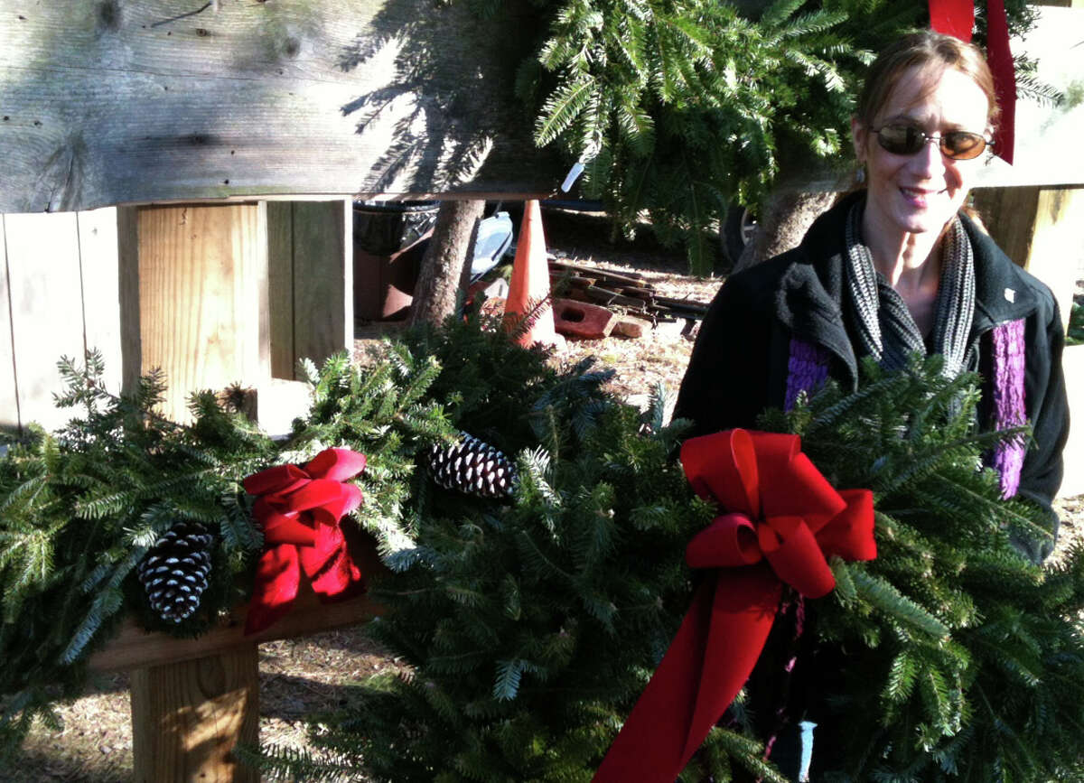 O, Christmas trees! Audubon farm unbowed by Sandy