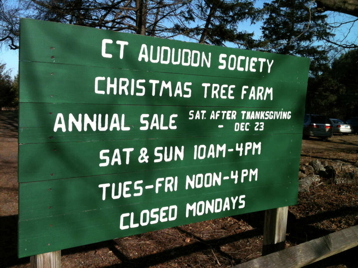 O, Christmas trees! Audubon farm unbowed by Sandy