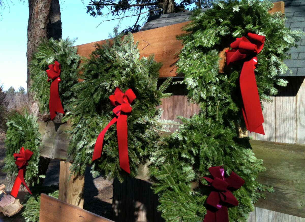 O, Christmas trees! Audubon farm unbowed by Sandy