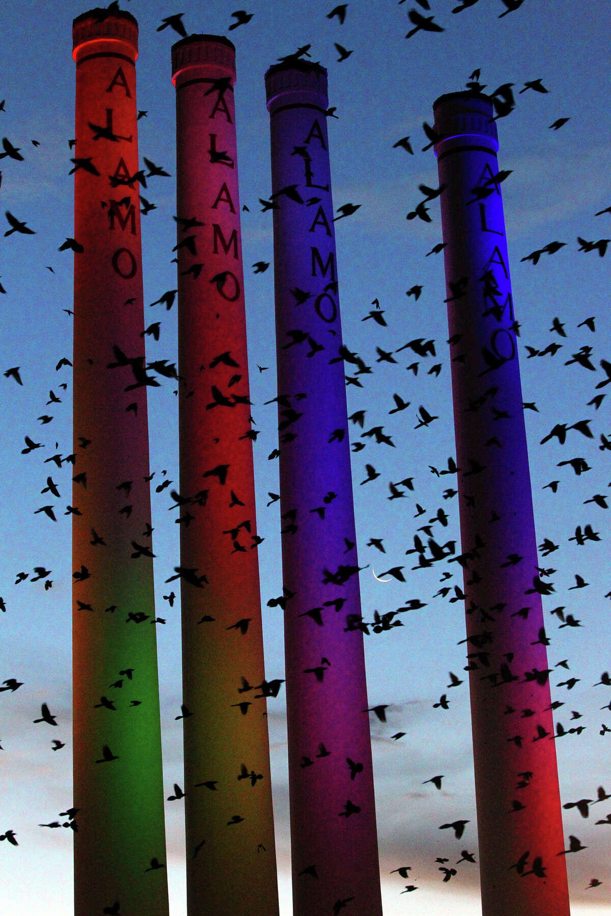 A flock birds flies in front of the smokestacks at the Alamo Quarry Market Tuesday Morning December 11, 2012.