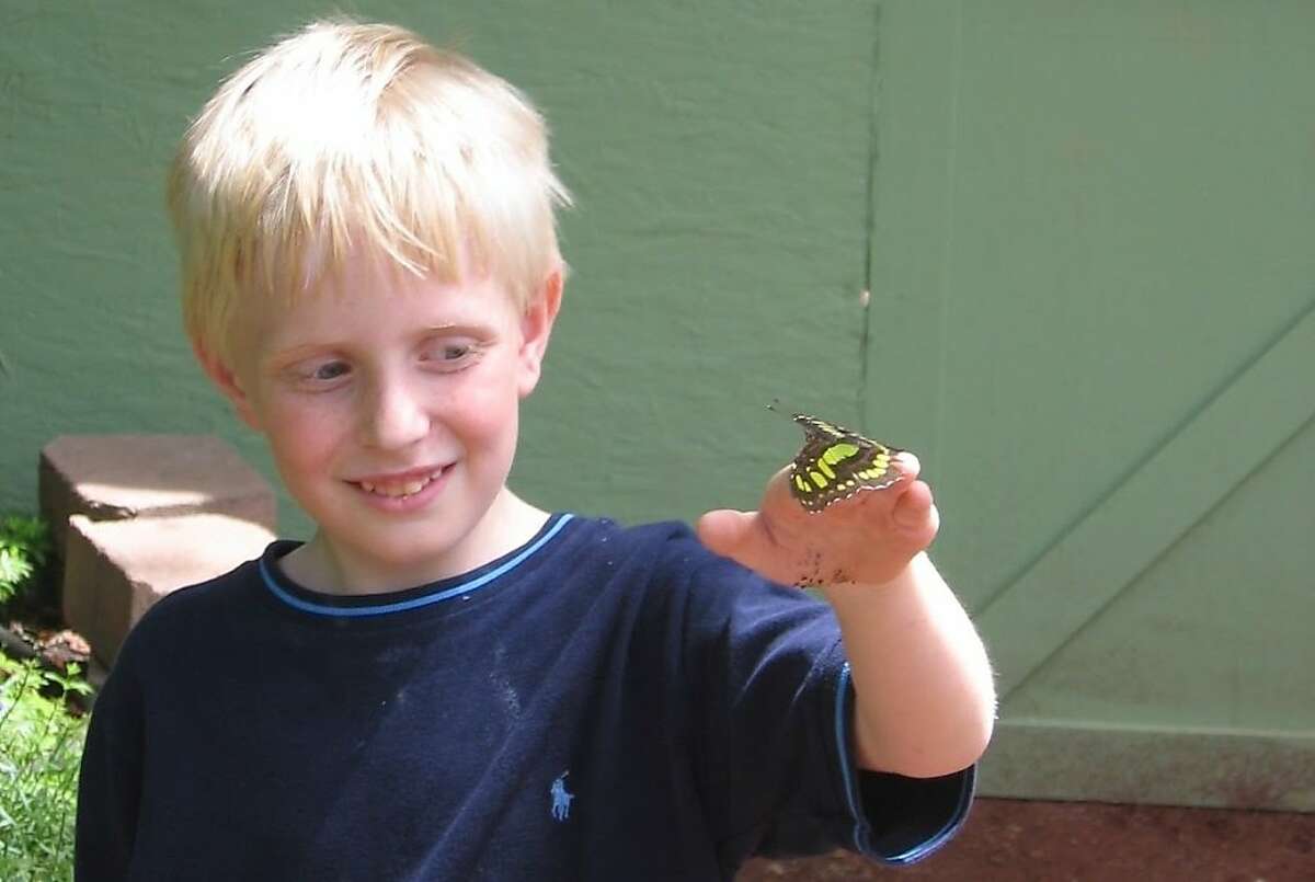 "Michael" with a butterfly. "Michael" has mental illness and is violent and no one seems to be able to help him, which raises the issue of what the public's response should be.
