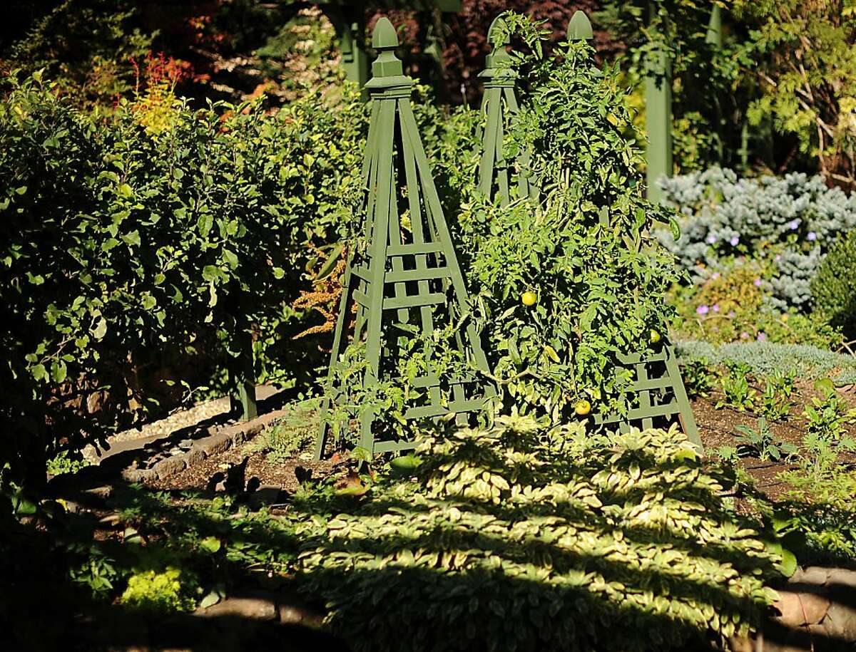 Freeland Tanner's Napa garden