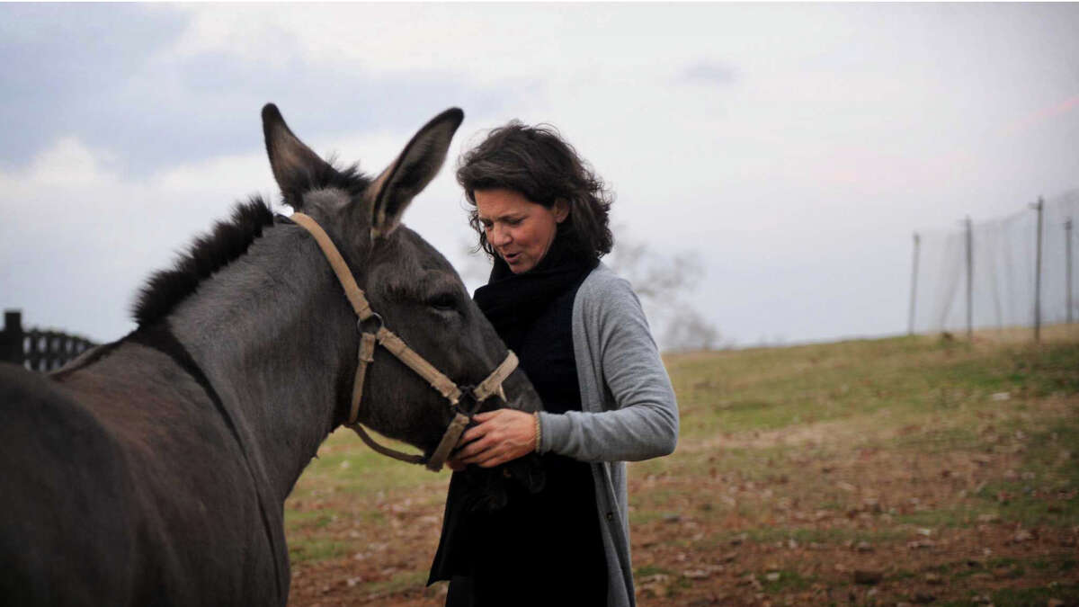 Madonna Badger, whose three daughters and parents were killed in a Christmas day fire in her Shippan home in 2011, told Vogue magazine she will remarry in September. Here, she says hello to "Moose," a mule on P. Allen Smith's farm in Little Rock, Arkansas, on Sunday, December 2, 2012. 
