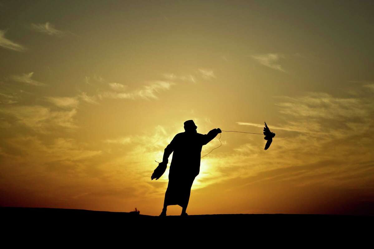 Falconry in the Gulf