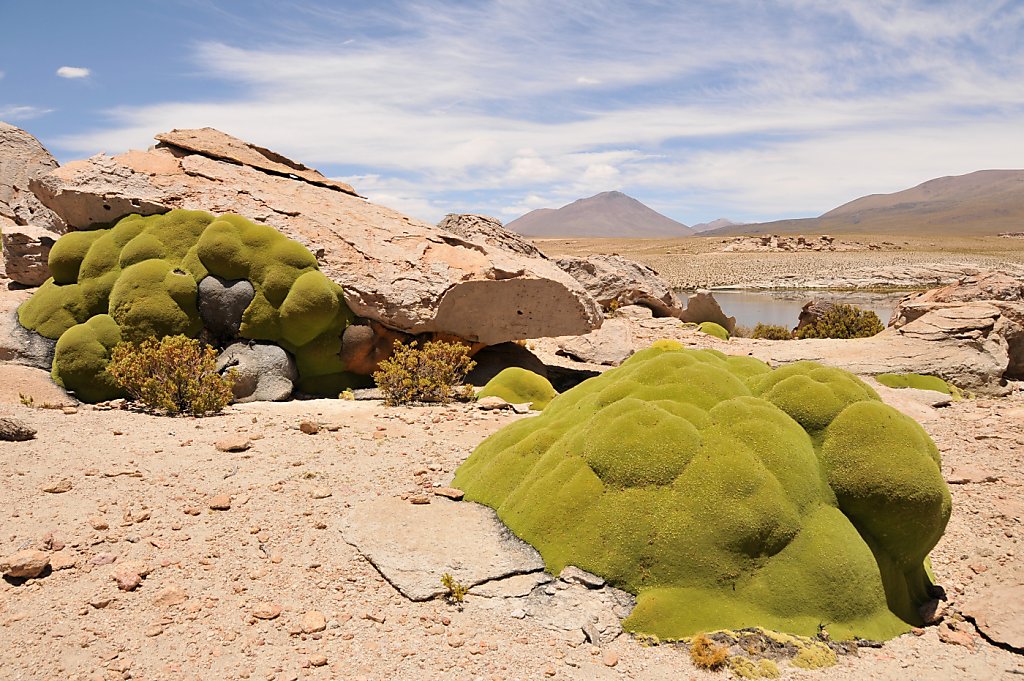 Bolivia's Salar de Uyuni - a vast adventure