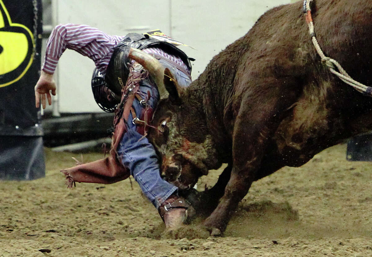 Tag Elliott gets headbutted by a bull named Captain Call during the bull riding competition at the 2012 San Antonio Stock Show & Rodeo on Saturday, Feb. 11, 2012. Click to browse all of the EN's most memorable photos of 2012