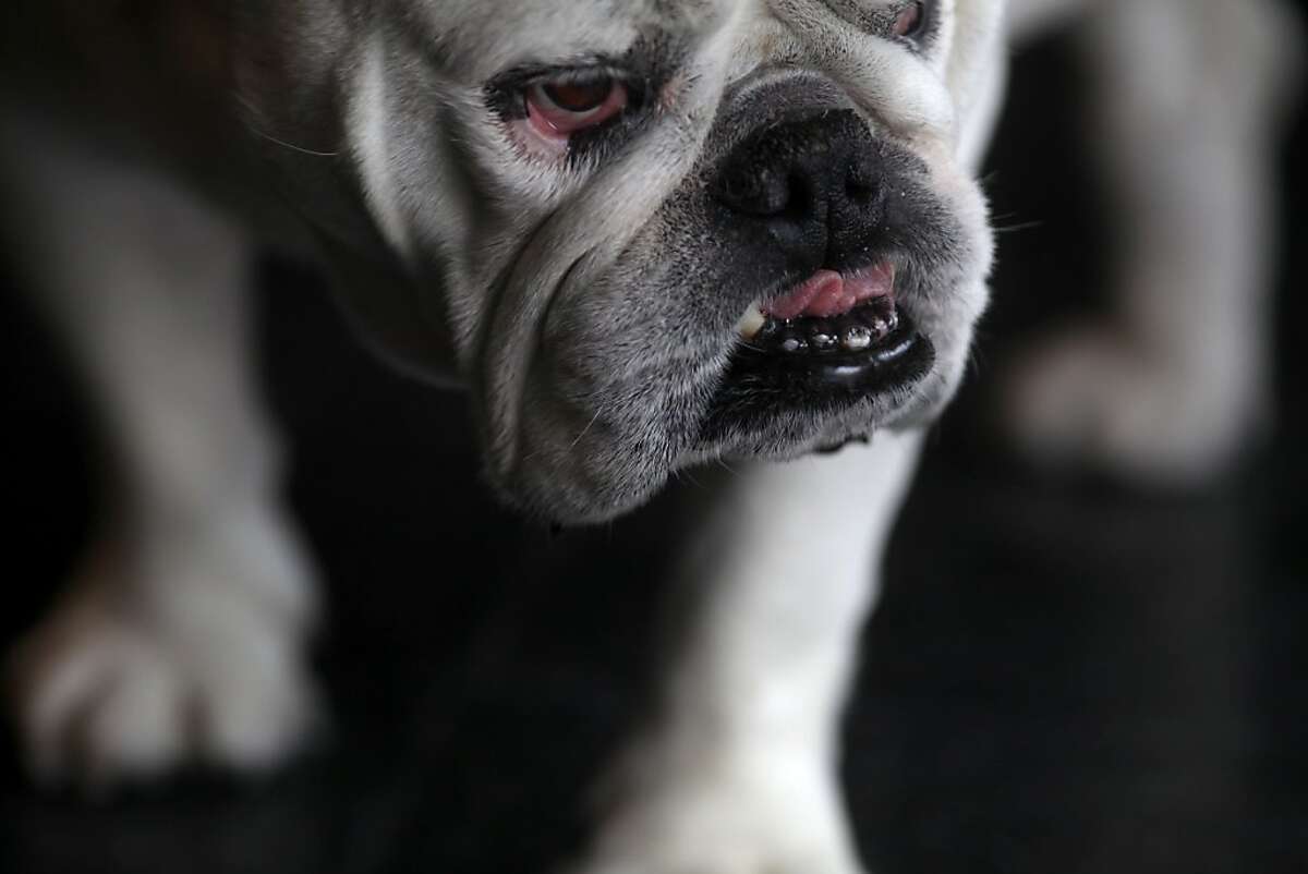 Loss of 4 characters dims S.F.'s brilliance