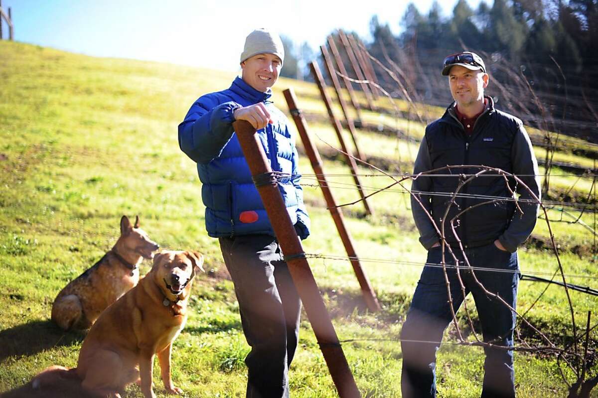 Arnot-Roberts winemakers Duncan Arnot Meyers (L) and Nathan Roberts with their dogs Django and Bowie at Bartolomei Vineyard in Forestville where the winemakers harvest Trousseau. December 18, 2012.
