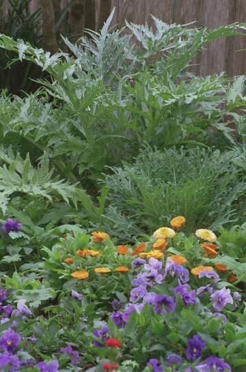 Get a jump on your garden for the new year