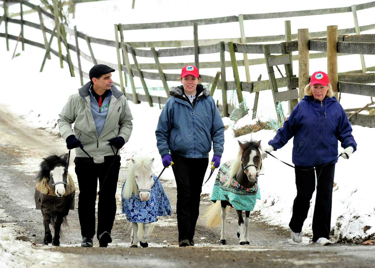 Jorge Garcia-Bengochea and therapy volunteers Jennifer Anfinsen, center, and her mom, Sally Anfinsen, right, walk with the Gentle Carousel Miniature Therapy Horses visiting The Ridge Equestrian Center in Newtown Friday, Jan. 4, 2012.