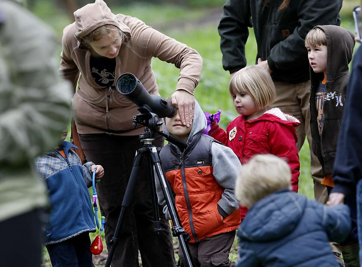 Daria Mehra helps her son Lucas use the scope to view the wintering Monarch butterflies high in the trees. At the Ardenwood Historic Farm in Fremont, Calif. hundreds of mysterious wintering Monarch butterflies are coping with a cold winter Sunday January 6, 2013.