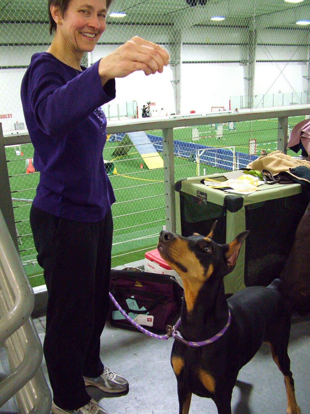 Akc obedience trials Clearance