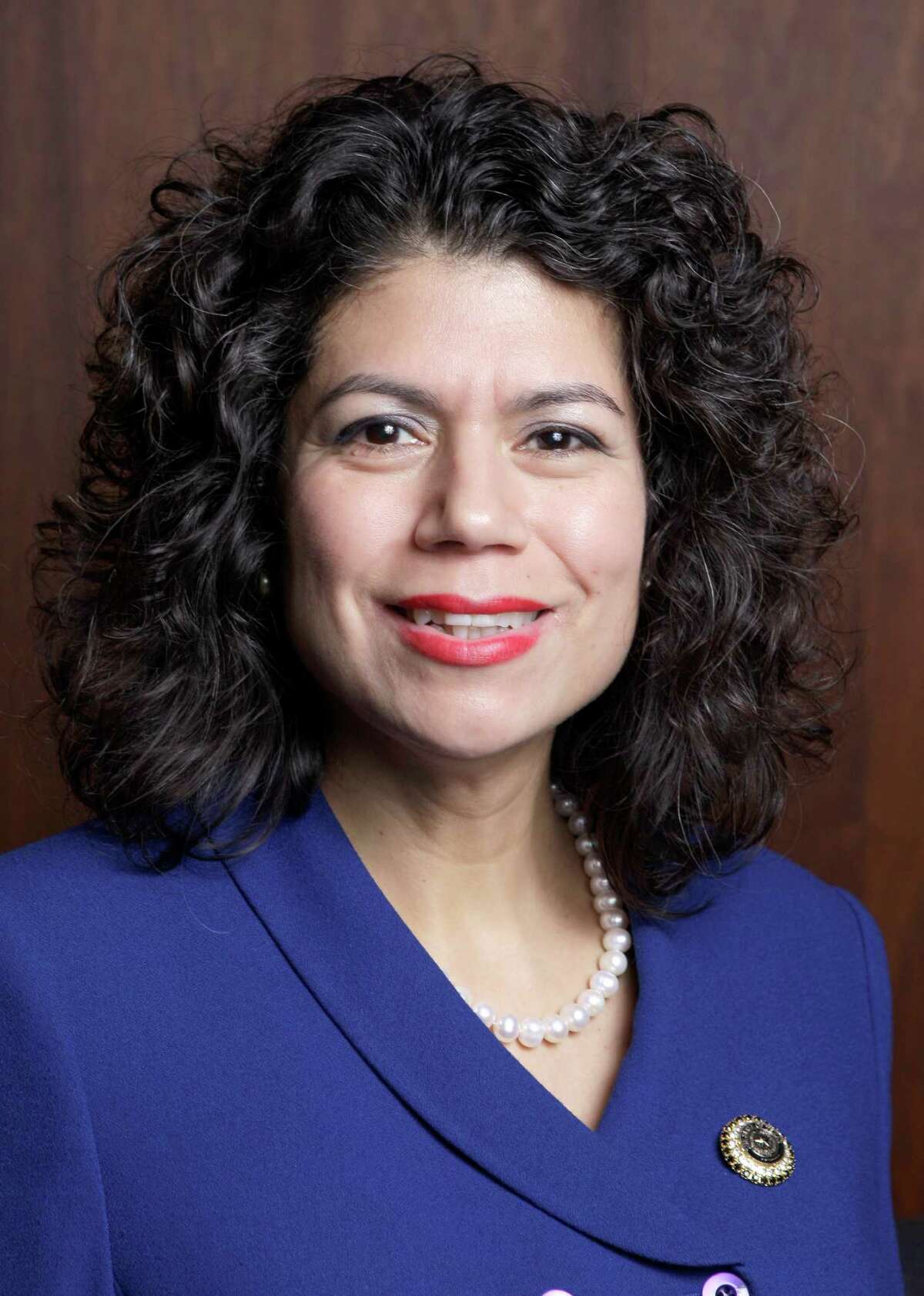 CAROL ALVARADO The former Houston City Council member has represented Texas House District 145 since 2008, and says her experience would give her an edge in the Senate.