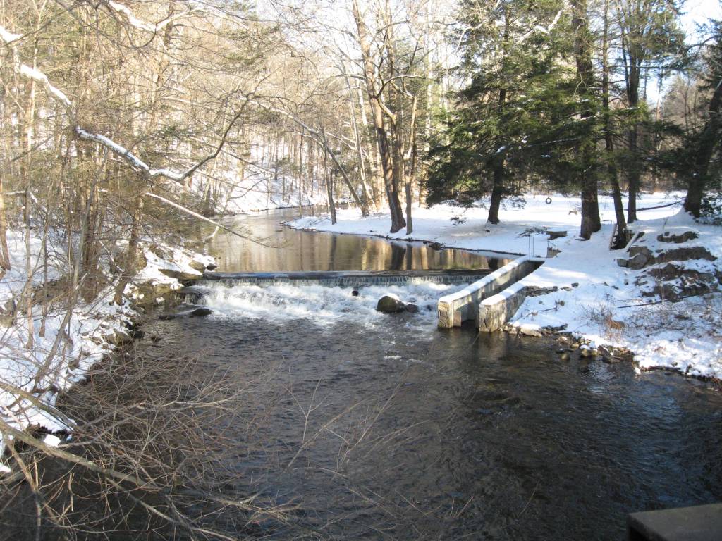 Saugatuck River becomes more fish-friendly, one dam at a time