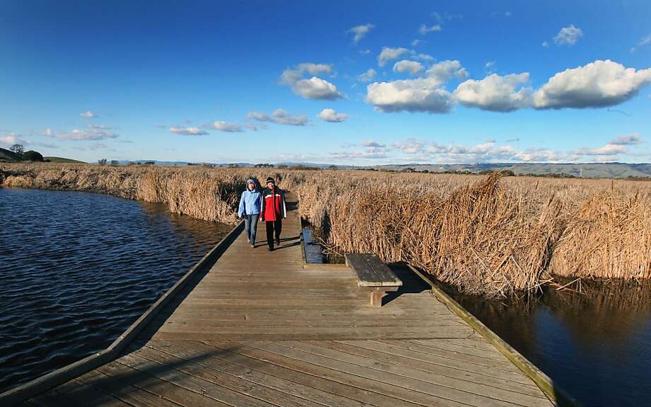 Coyote Hills Walk On The Wild Side Sfgate