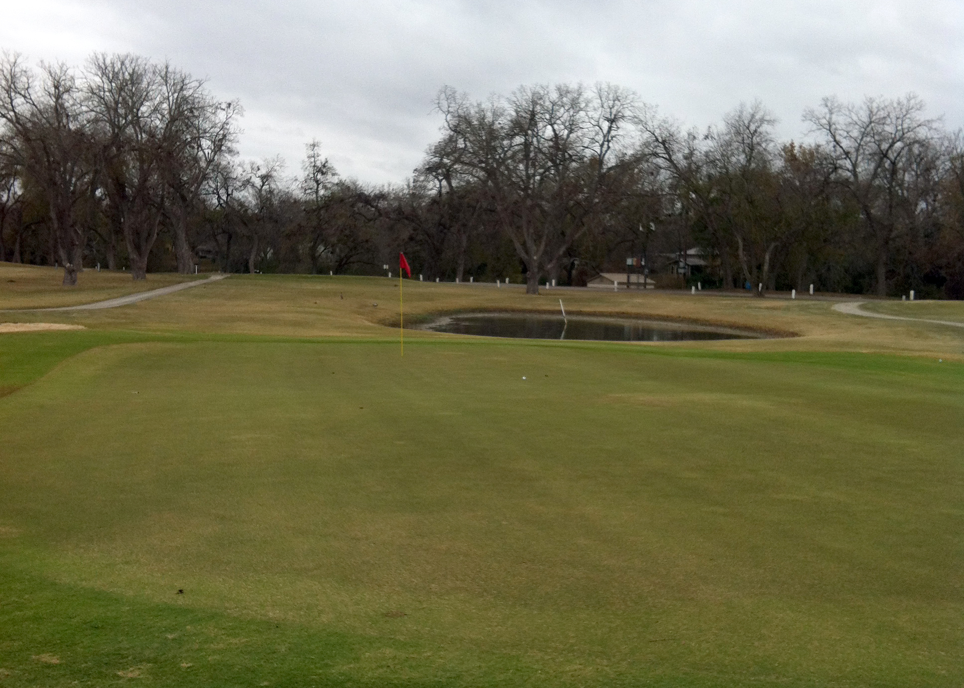 A Round Here Max Starcke Park Golf Club