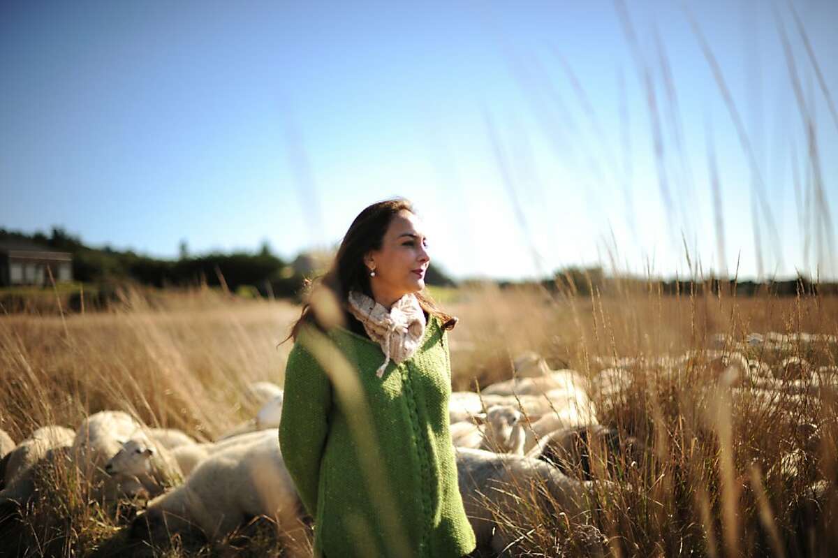 Harmeet Dhillon with the sheep that provide wool for her hand-crafted knit company Sea Ranch Woolworks which is based out of her home at The Sea Ranch, California. January 12, 2013.