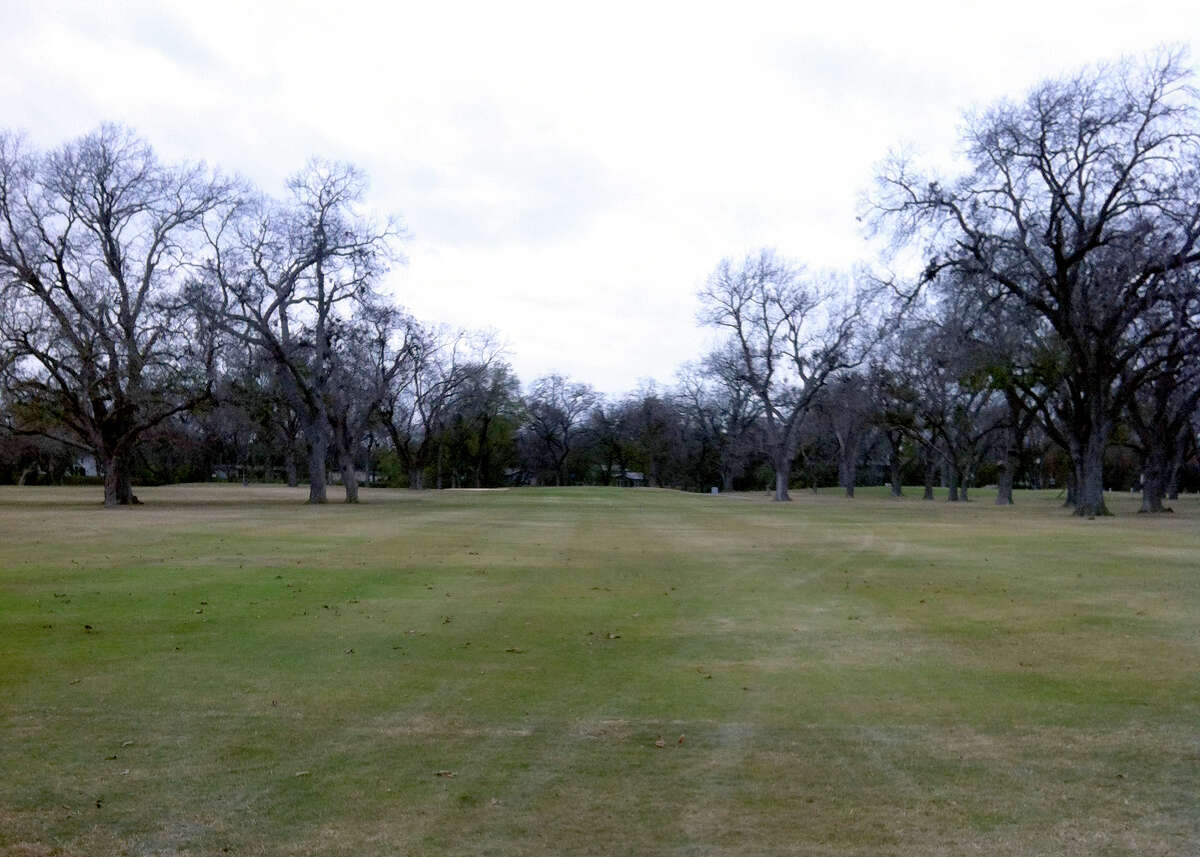 A Round Here Max Starcke Park Golf Club