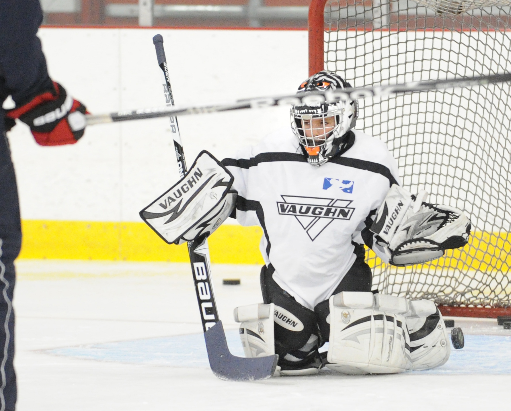 Hockey parents The more ice (rinks), the better