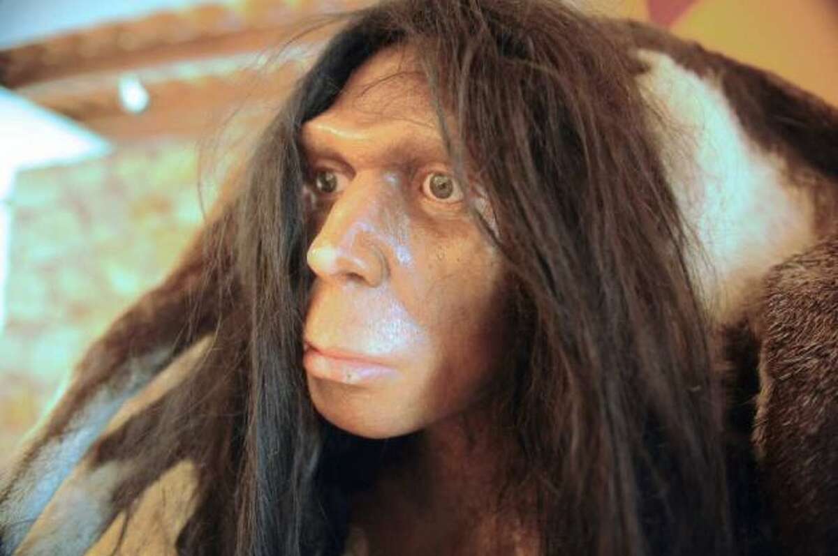 Wanted: Mom willing to birth a Neanderthal