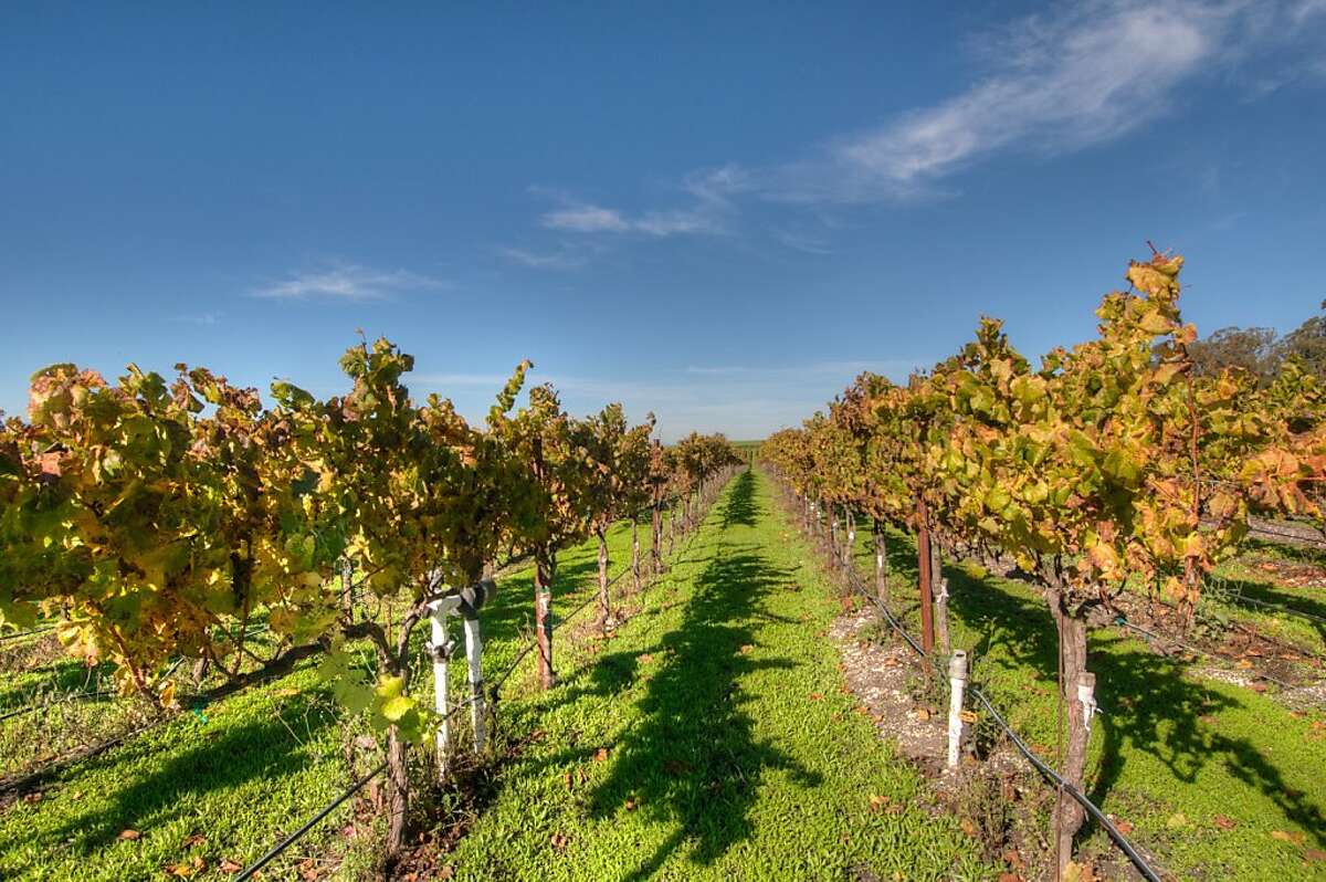 100acre Petaluma estate has vineyard, stables