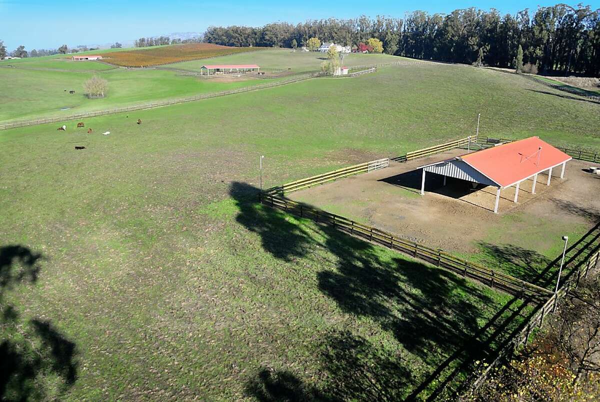 100acre Petaluma estate has vineyard, stables