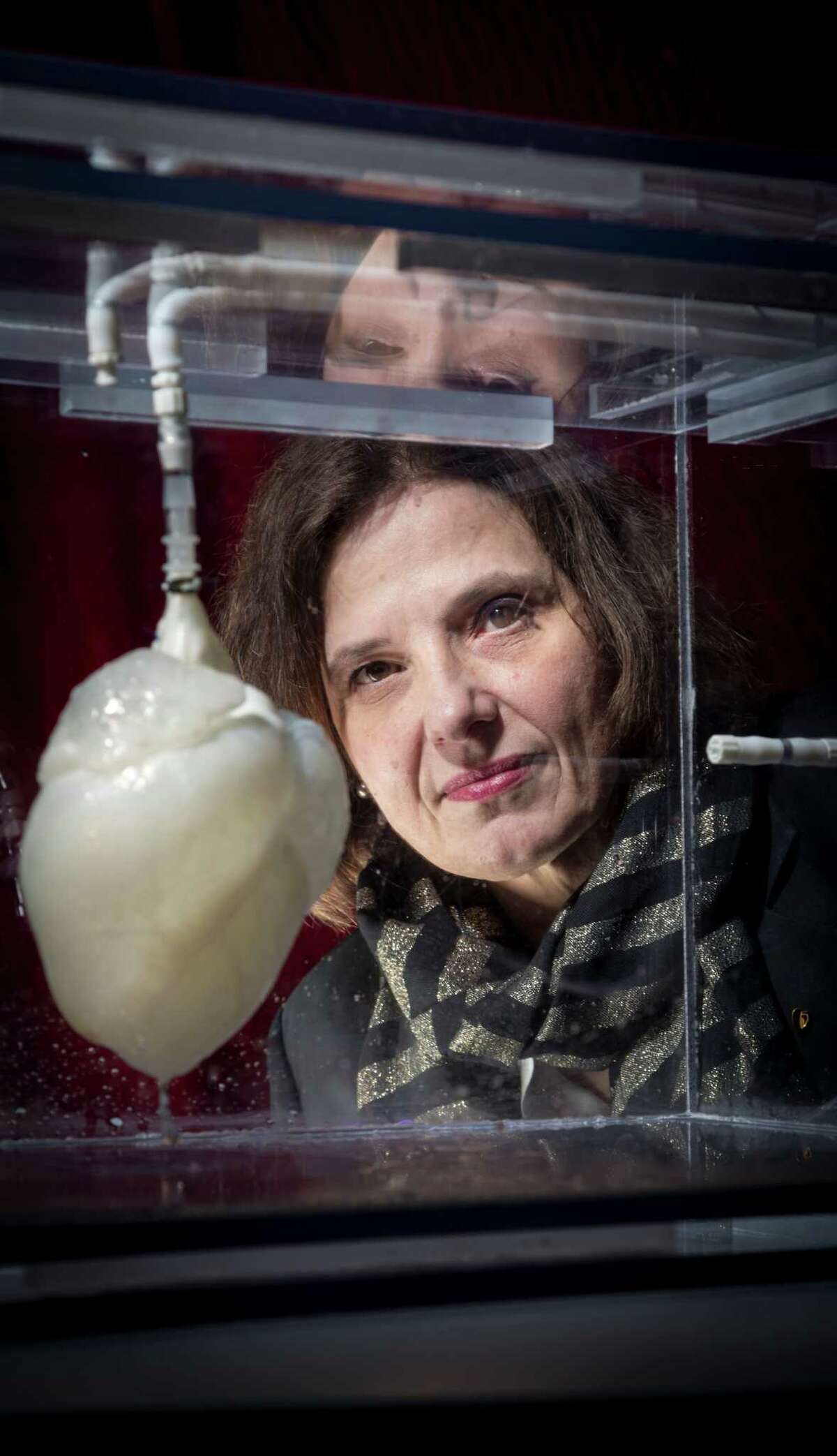 Dr. Doris Taylor, Director of Regenerative Medicine Research at Texas Heart Institute, looks at a heart scaffold which many believe is the first step toward being able to grow new replacement hearts -- and other organs -- for people, Wednesday, Jan. 16, 2013, in Houston. Dr. Taylor her team garnered international recognition for her work involving "whole organ decellularization," in which they showed they can remove the existing cells from hearts of laboratory animals and even humans to leave a framework for building new organs. By then repopulating the framework with another human adult stem cells and giving it a blood supply, the heart regenerates, taking on the characteristics and functions of a revitalized beating heart. ( Michael Paulsen / Houston Chronicle )