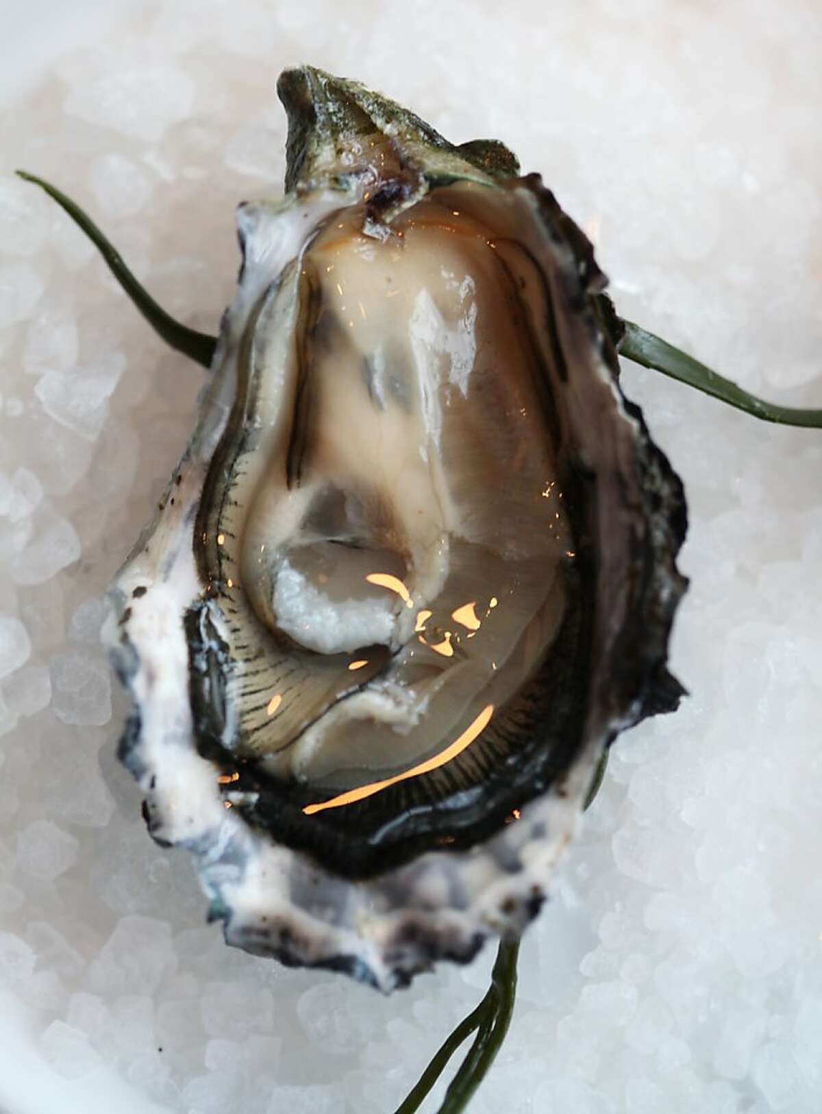 A shucked Drakes Bay oyster is seen at Waterbar on Thursday, November 29, 2012 in San Francisco, Calif.