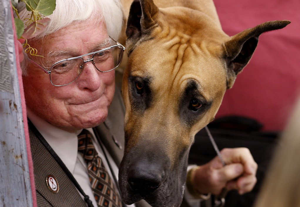 Golden Gate Kennel Club dog show