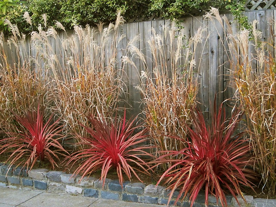 Move Flax Prune Only Brown Leaves