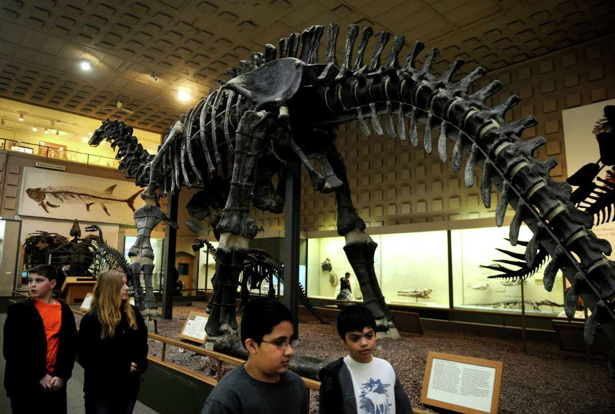 peabody museum dinosaur exhibit