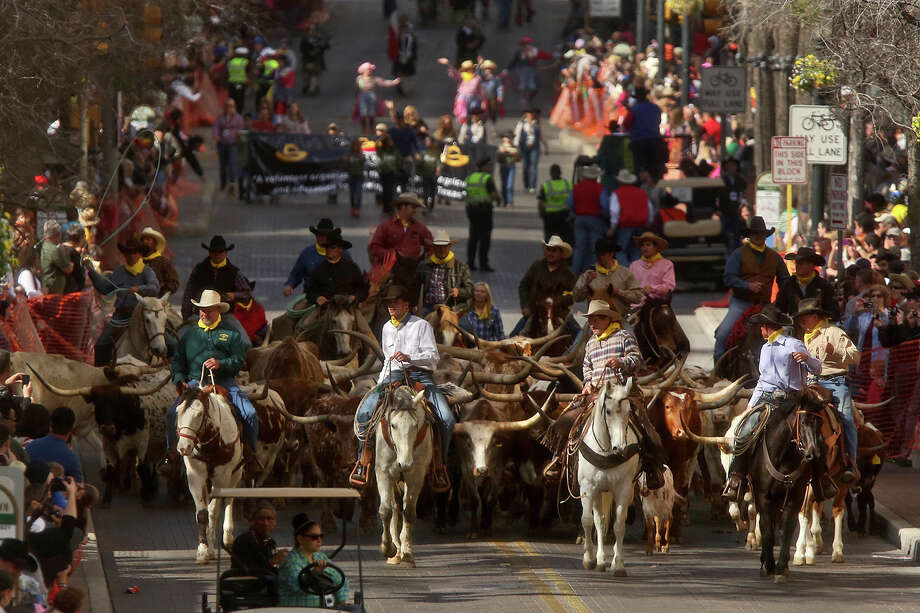 2013 Western Heritage Parade & Cattle Drive - mySA