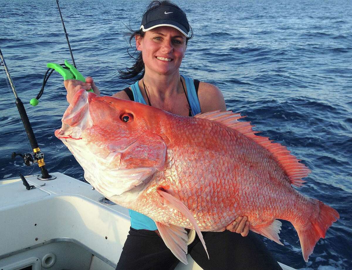 Setting the season on Gulf snapper