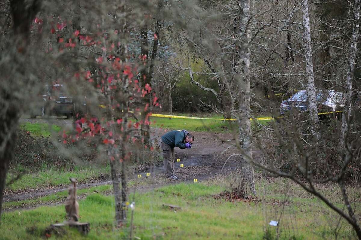 Sonoma County Sheriff's Detective Travis Koeppel looking for possible clues on the driveway of the home of a triple homicide on Ross Station Road in Forestville, California. February 5, 2013.