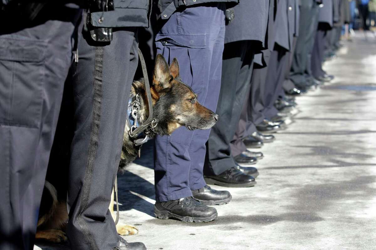 Police officers line at attention along with Herc, k-9 dog, as pallbearers carry the casket of former Buffalo Police Officer Patricia Parete during funeral services in Buffalo, N.Y., Wednesday, Feb. 6, 2013. Parete, was shot and paralyzed while on duty six years ago. She died last Saturday at her Niagara County home. Parete and another Buffalo police officer were shot in December 2006 after responding to a fight at a convenience store. One of the bullets hit Parete in the chin and lodged in her spine. The other officer also survived. The man who shot them, Varner Harris Jr., is serving 30 years to life in a state prison.