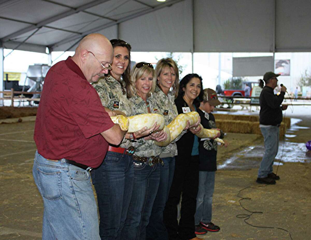 Volunteers with the San Antonio Livestock Exposition's Wildlife and Natural Resources Committee show off an albino snake to the crowd during a demonstration at the Texas Wildlife Expo.