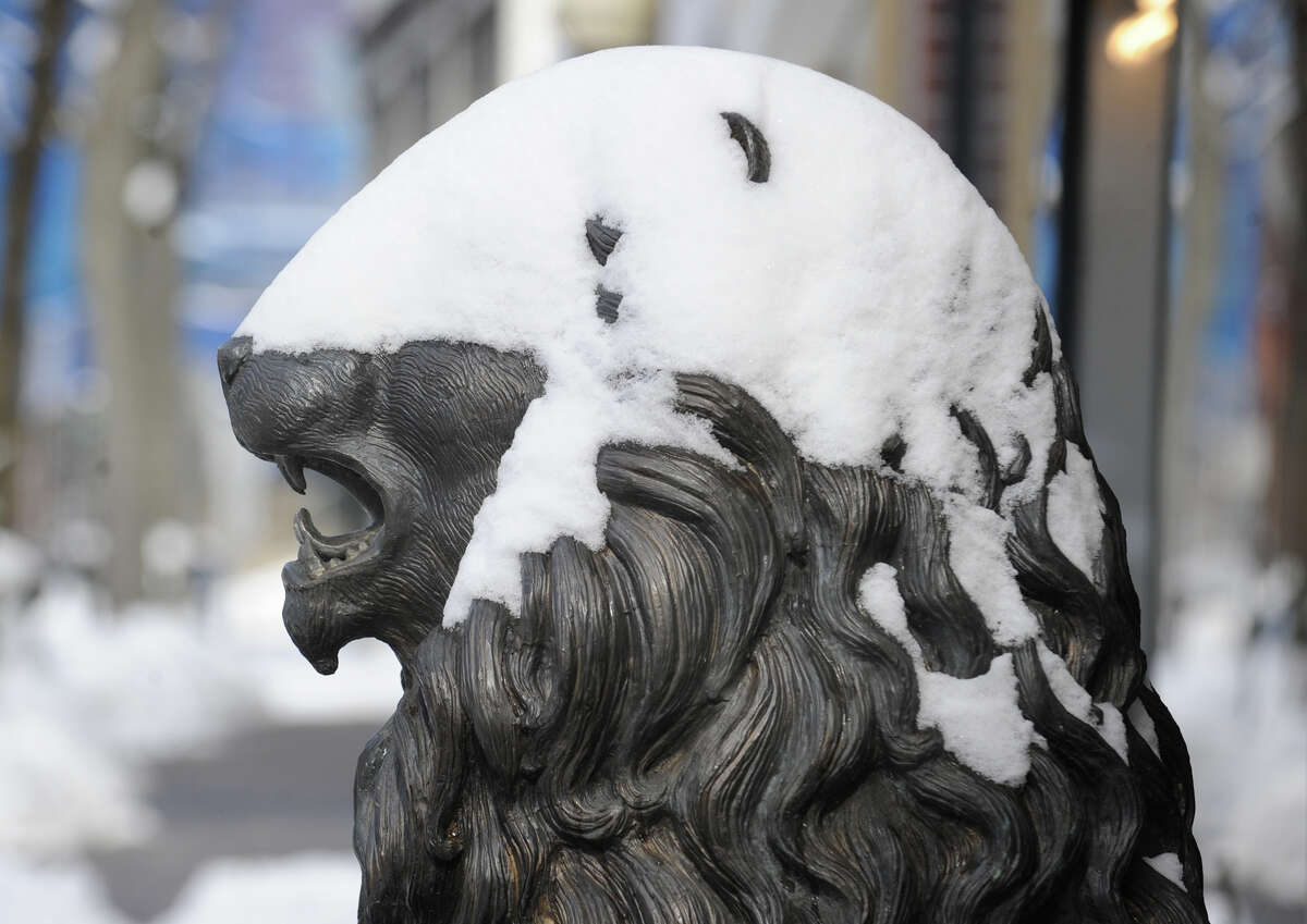 A snow-covered statue of a lion in front of Betteridge Jewelers on Greenwich Avenue during the aftermath of the blizzard that hit Greenwich, Conn., Saturday morning, Feb. 9, 2013.