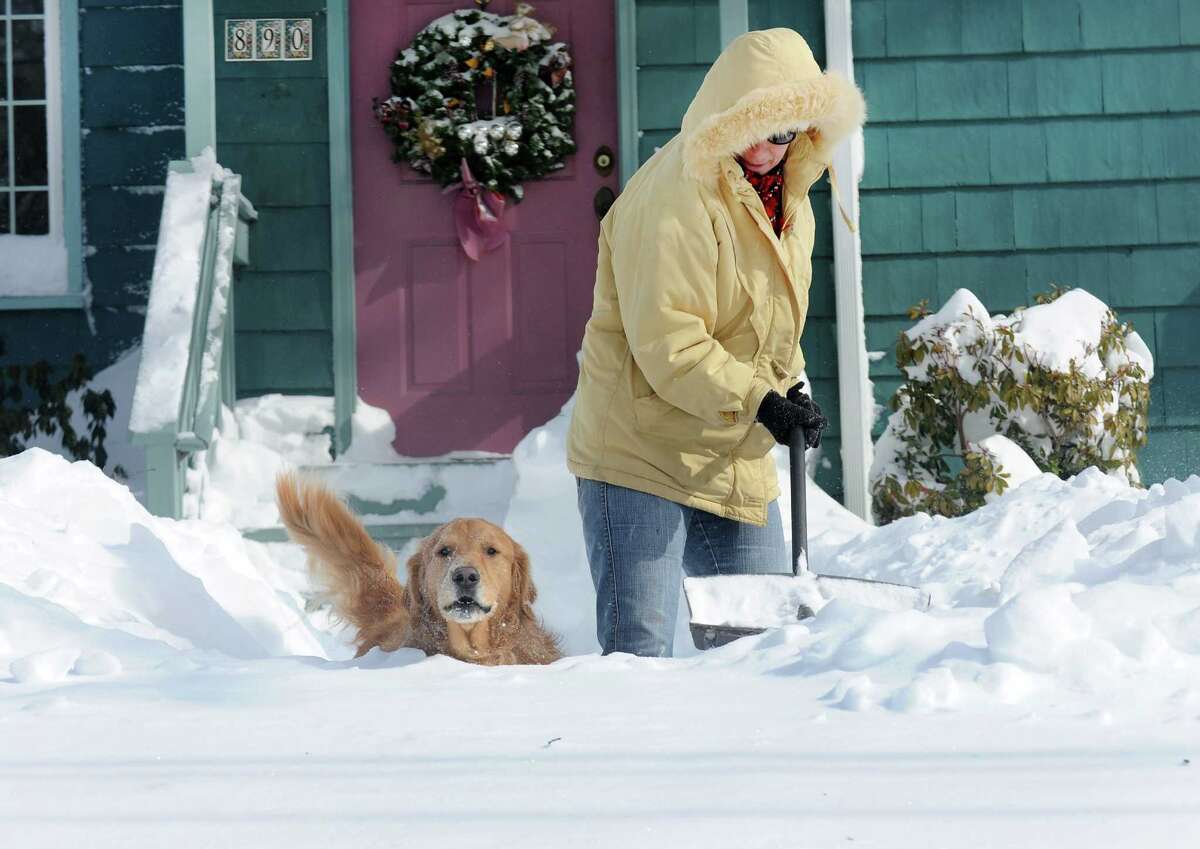 Jayne Buturla digs out of the piled up snow with her trusty companion Luke by her side on High St. in Fairfield, Conn. on Saturday, Feb. 9, 2013. Southwestern Connecticut was hit by one of the biggest snowstorms in history, a howling blizzard that dumped up to three feet of snow across the state.