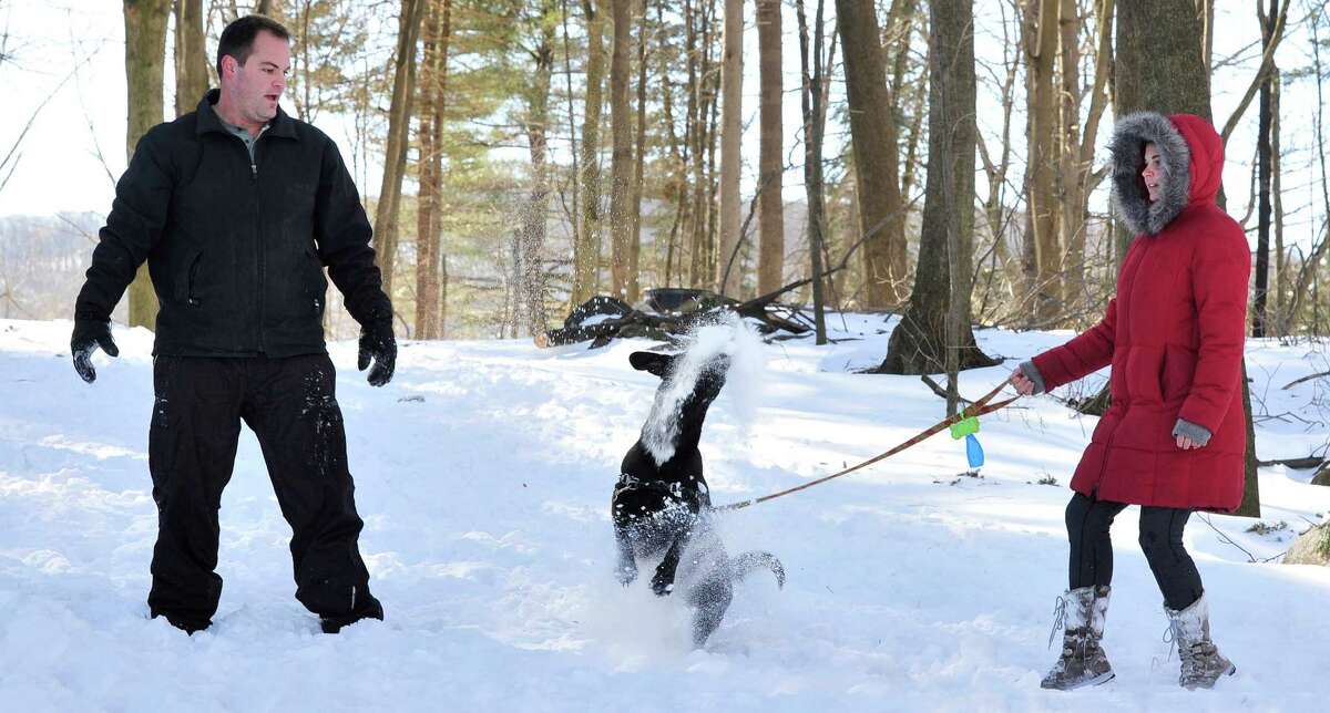 Nathan Archer and Rebecca Goetz throw snowballs for Biern to catch at Tarrywile Park in Danbury, Sunday, Feb. 10, 2013.