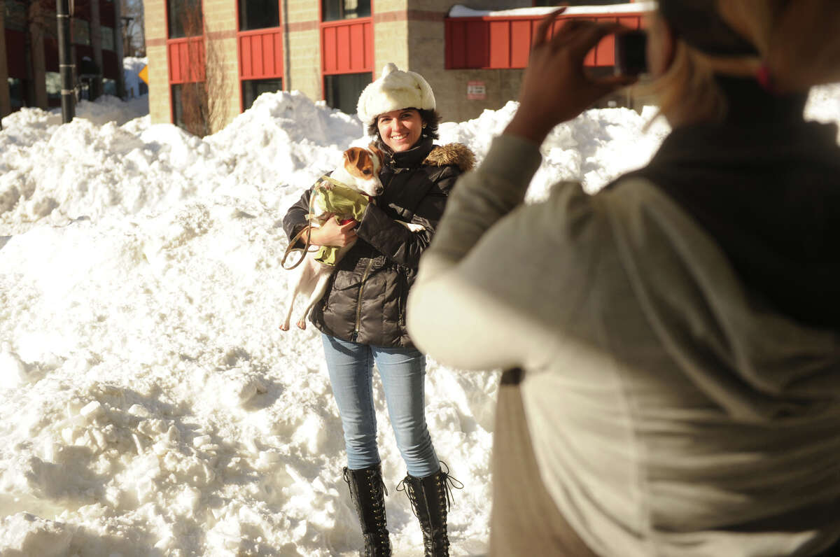 Ashley Jade of Bridgeport and her Jack Russell terrier Pippin pose for a photo in front of giant banks of snow on Fairfield Avenue in Bridgeport, Conn. on Sunday, February 10, 2013.