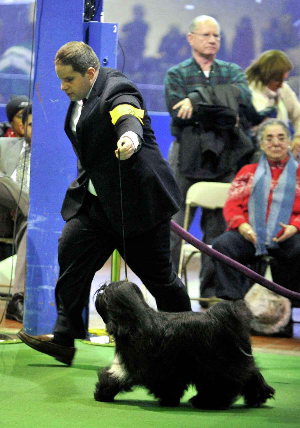 From rookie to a top dog at Westminster