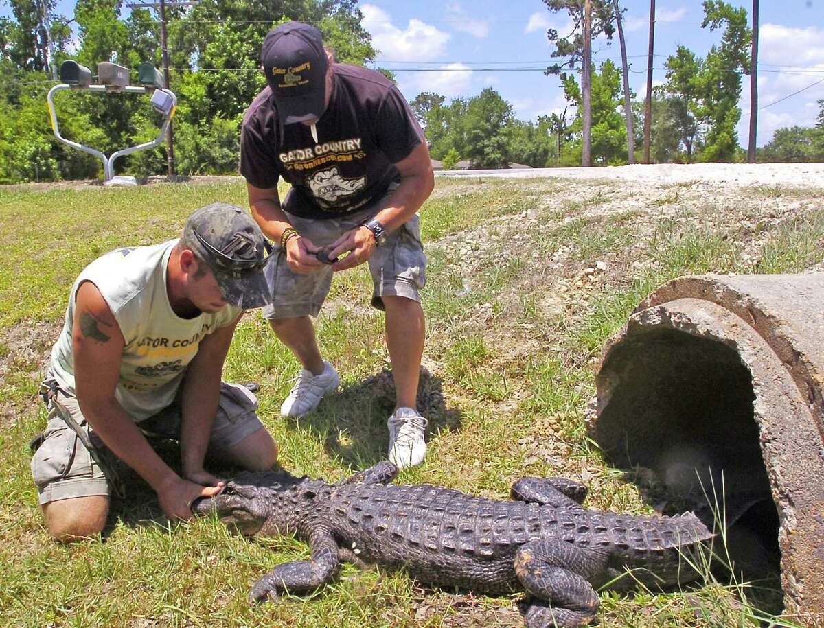 Southeast Texas reality TV stars