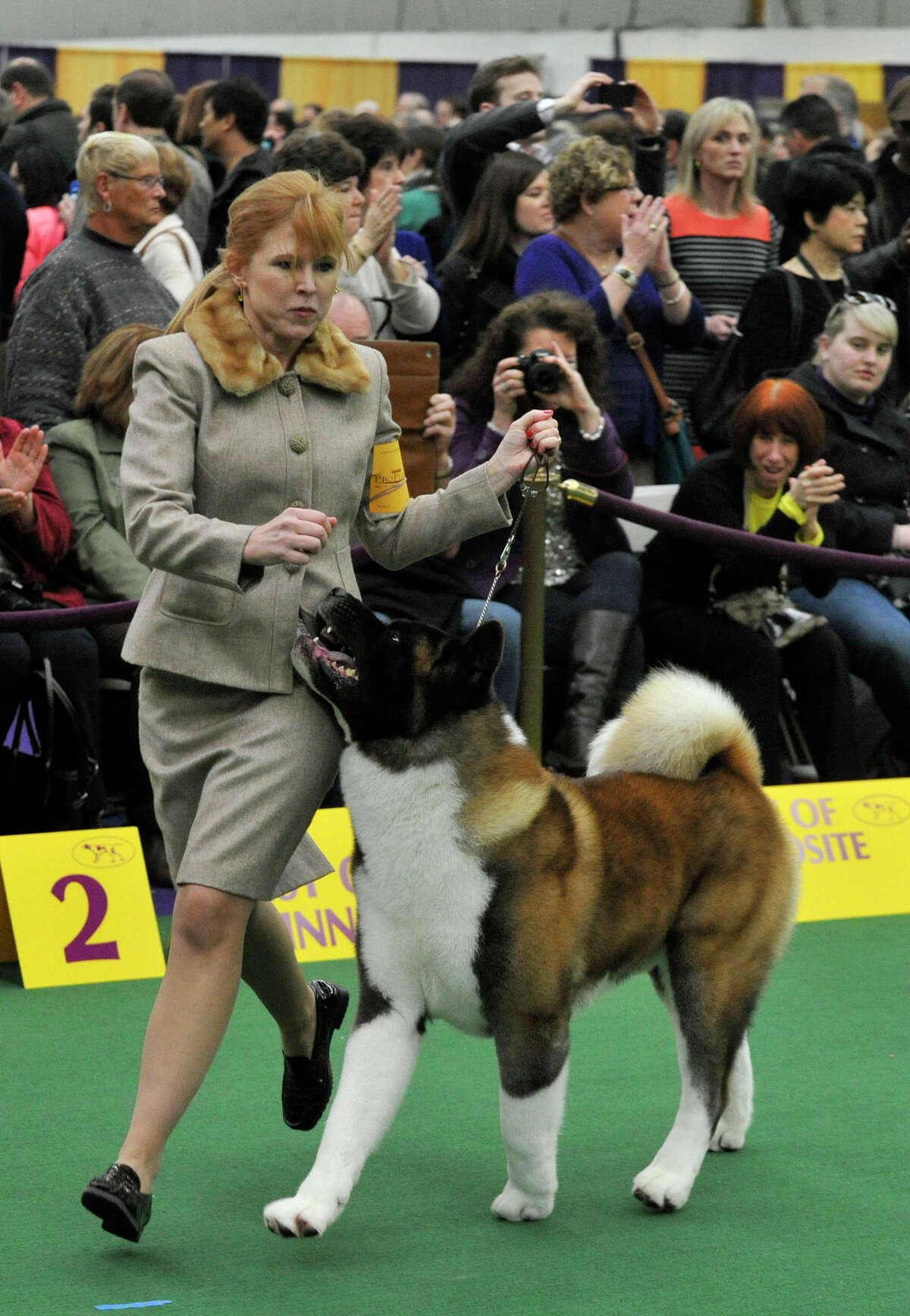 Westminster dog provided comfort after Newtown shootings