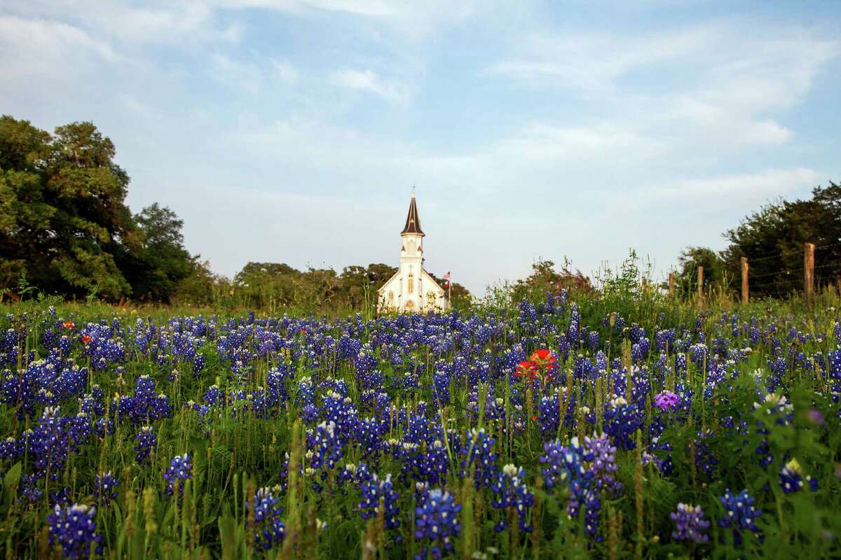 Saints Cyril and Methodius Church rises over a field full of bluebonnets last March in Fayette County.