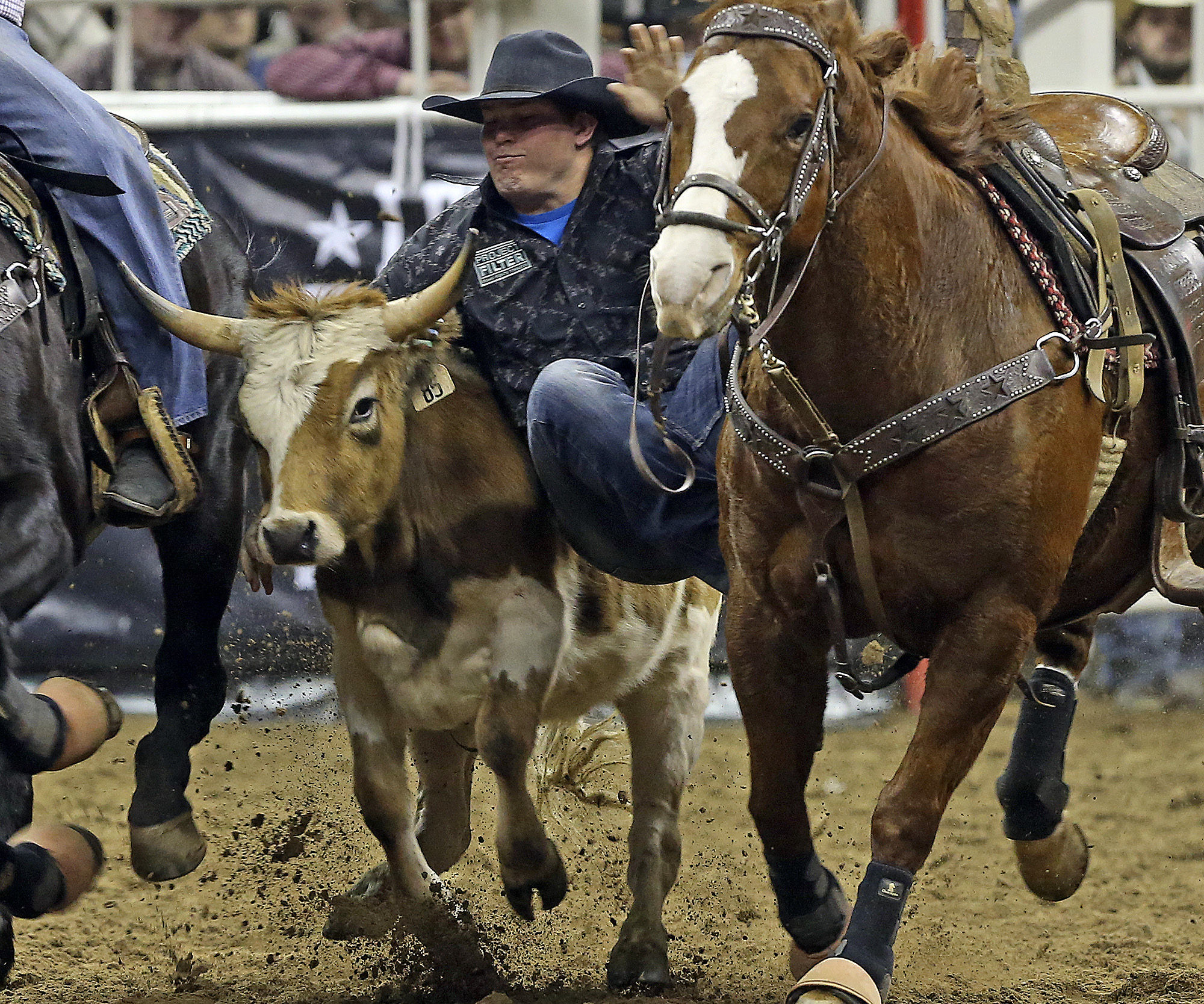 Steer wrestler helps instruction web site with Friday finish