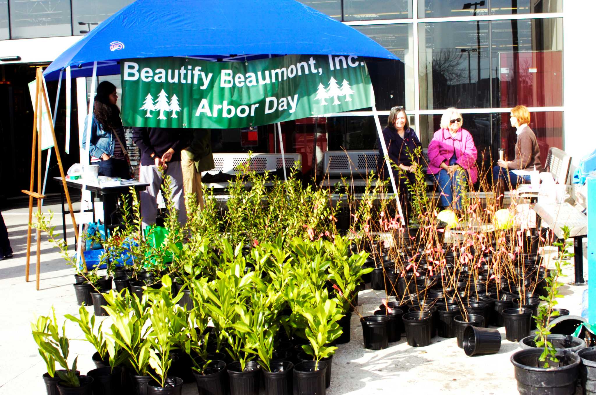 Free trees for Arbor Day