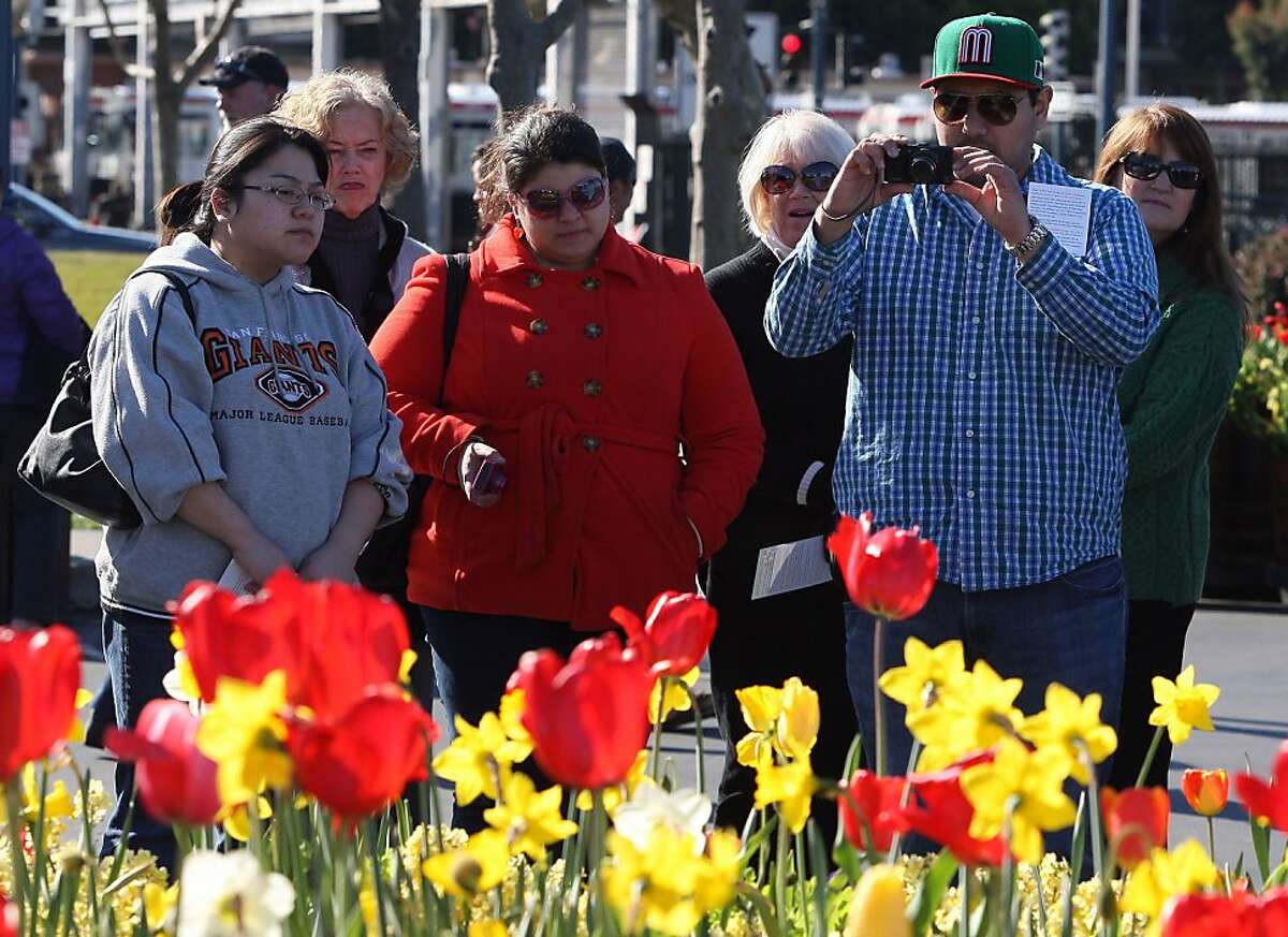 Pier 39 comes alive with Tulipmania