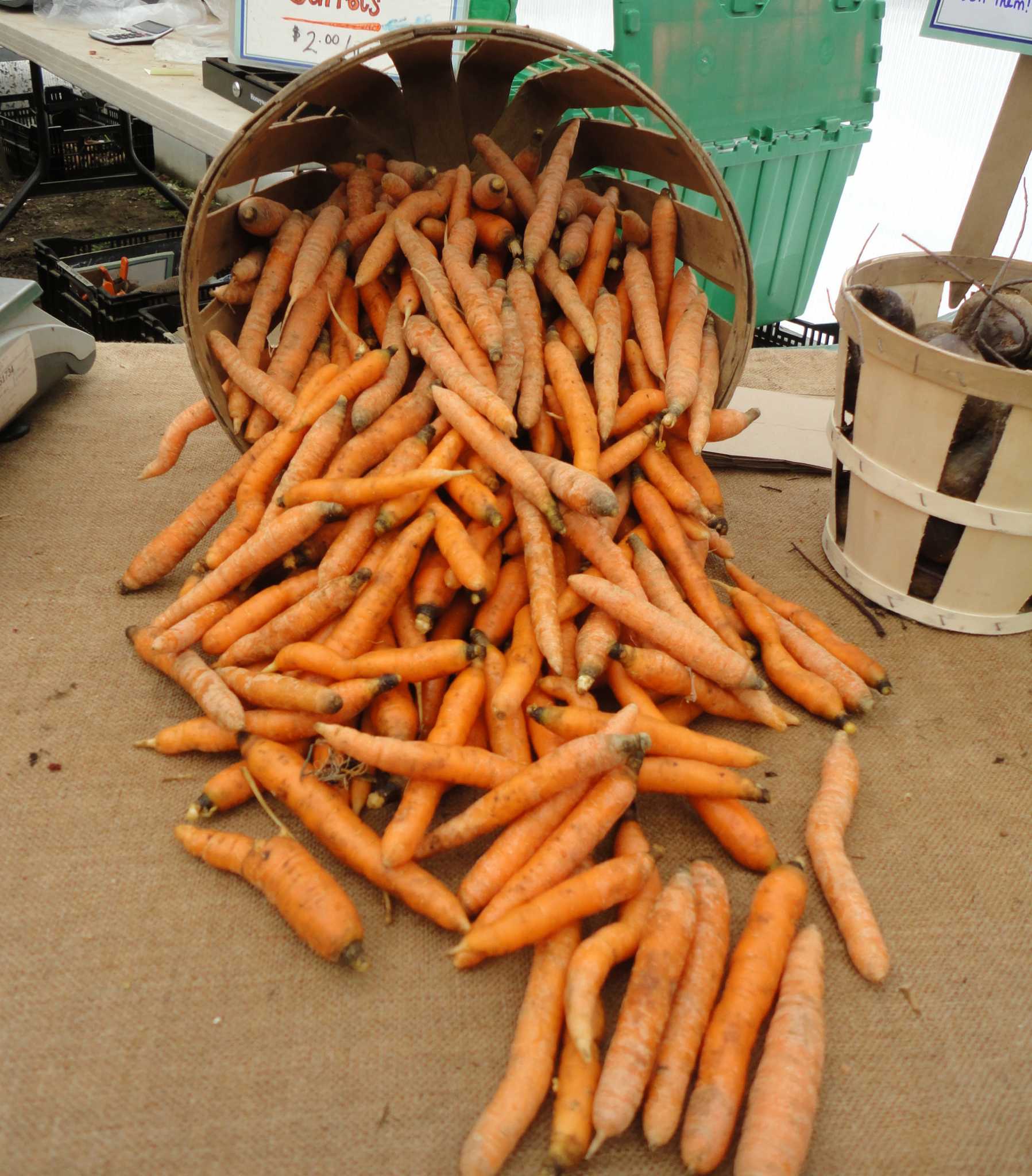 A 14carrot event Humble veggie yields rich harvest of recipes